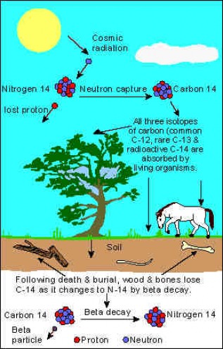 how has radiocarbon dating changed